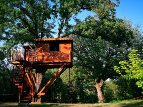 Casa sull'albero Bocchineri, Gimigliano